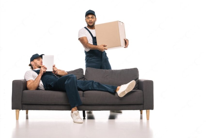 Professional Movers Holding Box